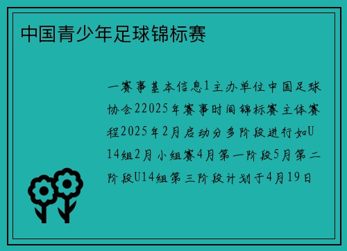 中国青少年足球锦标赛